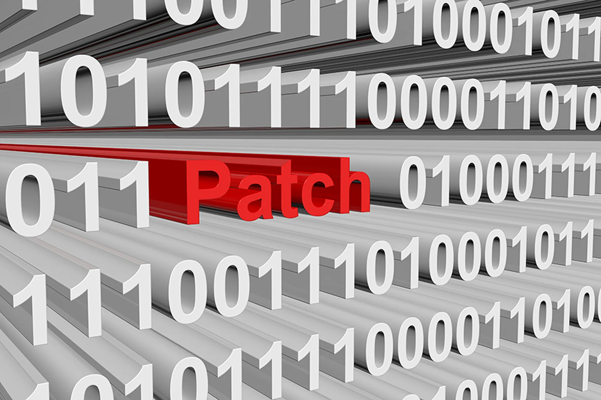 patch presented in the form of binary code