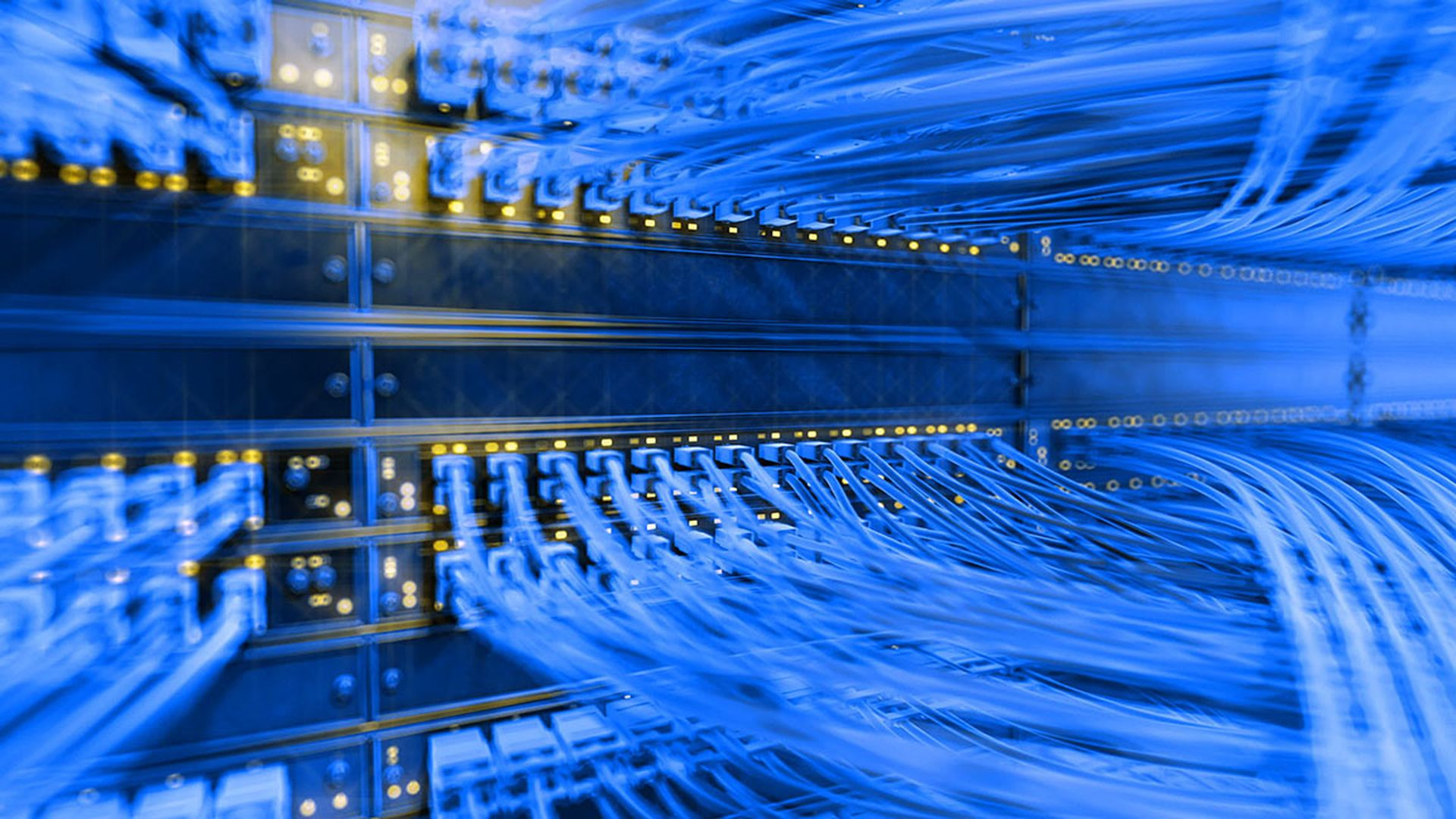 A mass of blue computer cables connected on a computer server