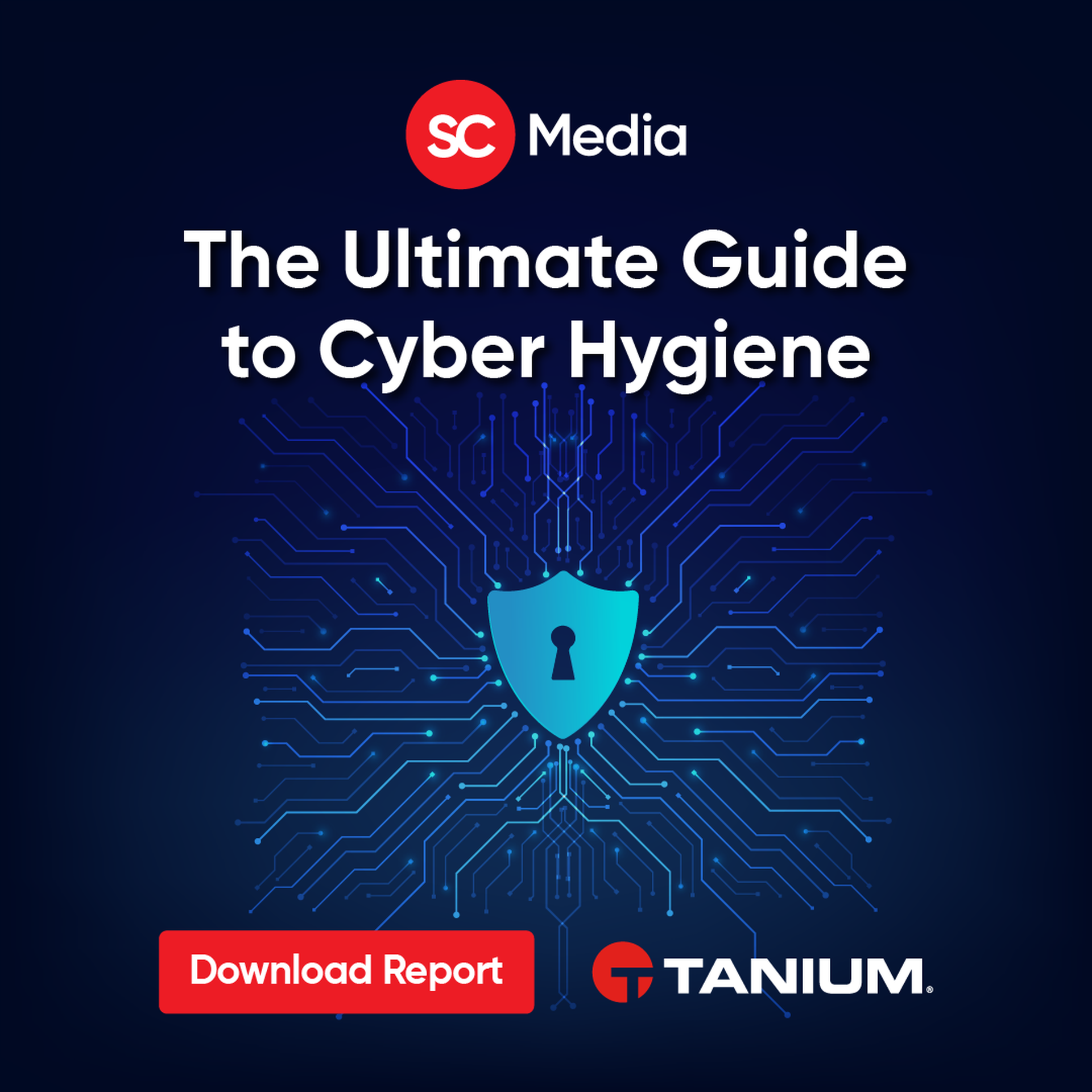 The Ultimate Guide to Cyber Hygiene