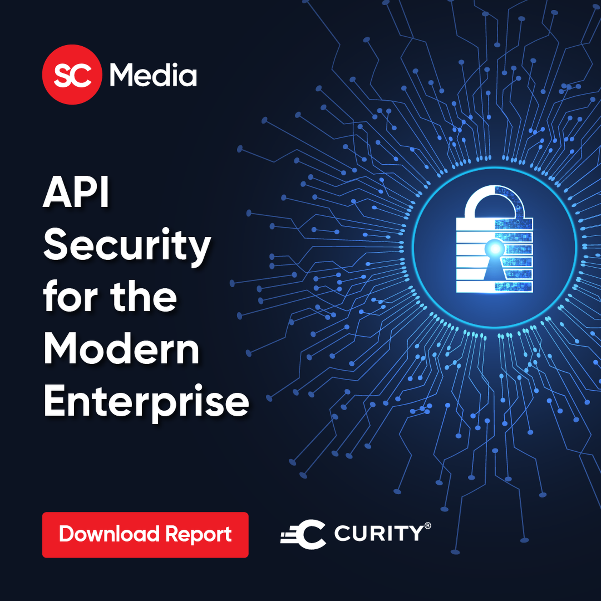 API Security for the Modern Enterprise
