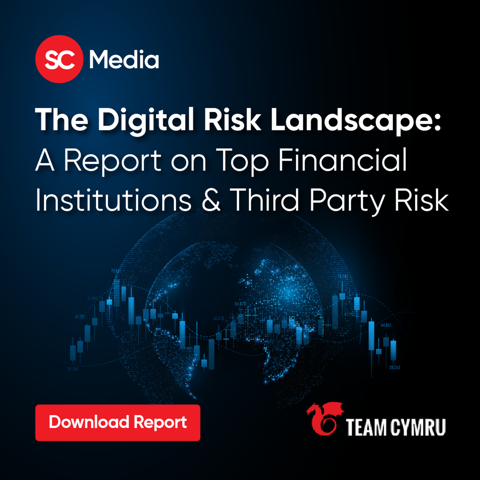 The Digital Risk Landscape: A Report on Top Financial Institutions & Third Party Risk