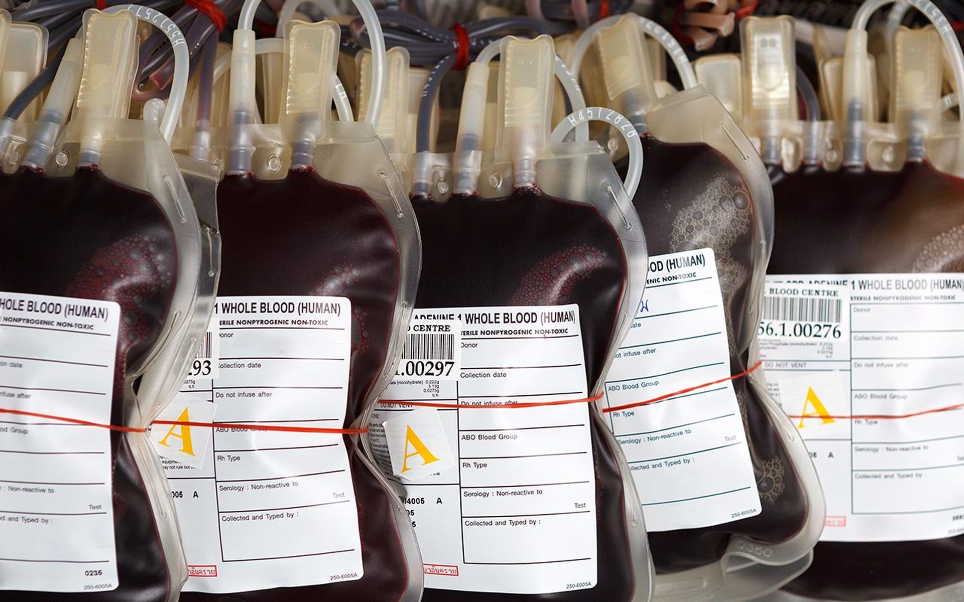 Human blood in blood donation