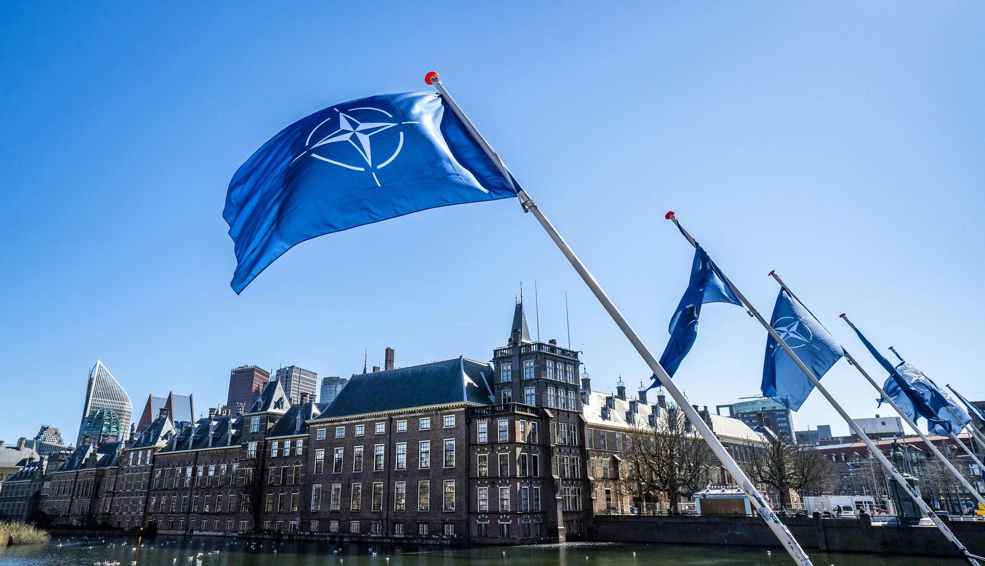 NATO flags flying in The Hague, The Netherlands
