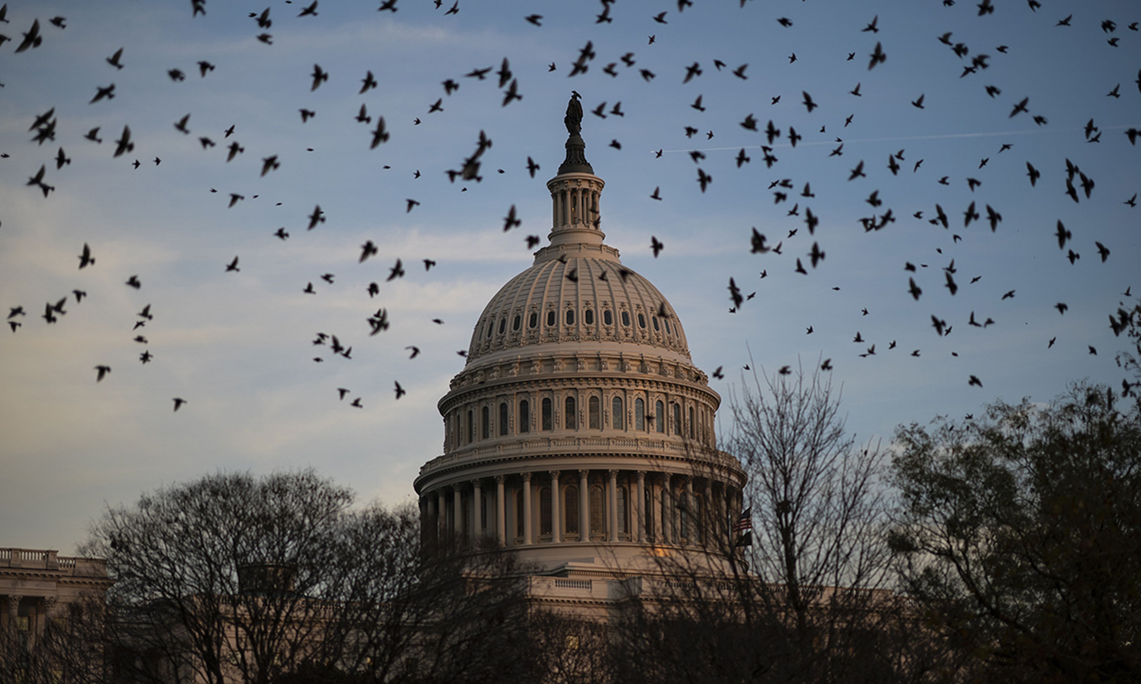 A flock of birds flies near the U.S. Capitol at dusk on Dec. 2, 2021, in Washington. The House passed the annual National Defense Authorization Act in a 360-40 vote on Tuesday. (Photo by Drew Angerer/Getty Images)