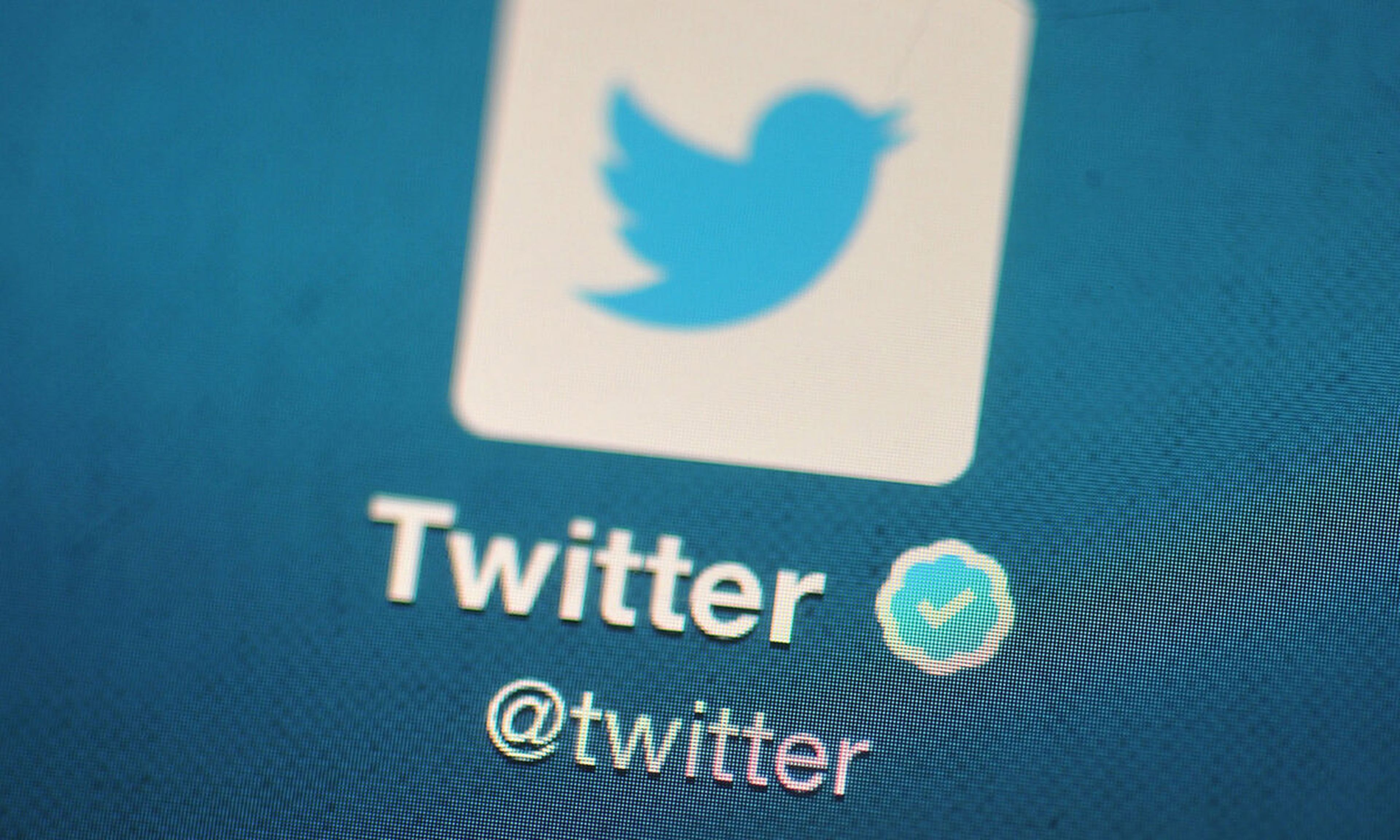 The Twitter logo, a blue bird in a white square, is displayed on a device screen.