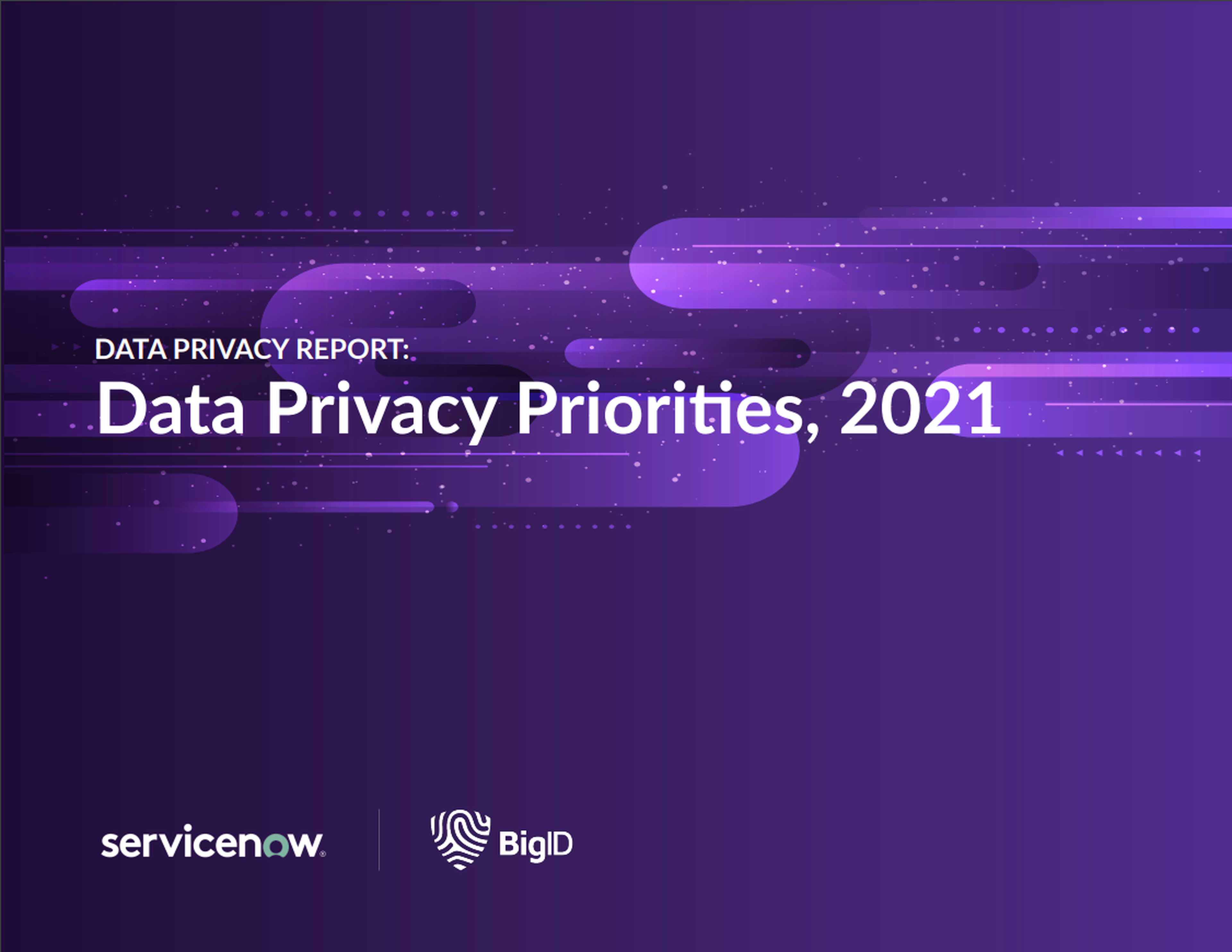 Data Privacy Report: Data Privacy Priorities, 2021
