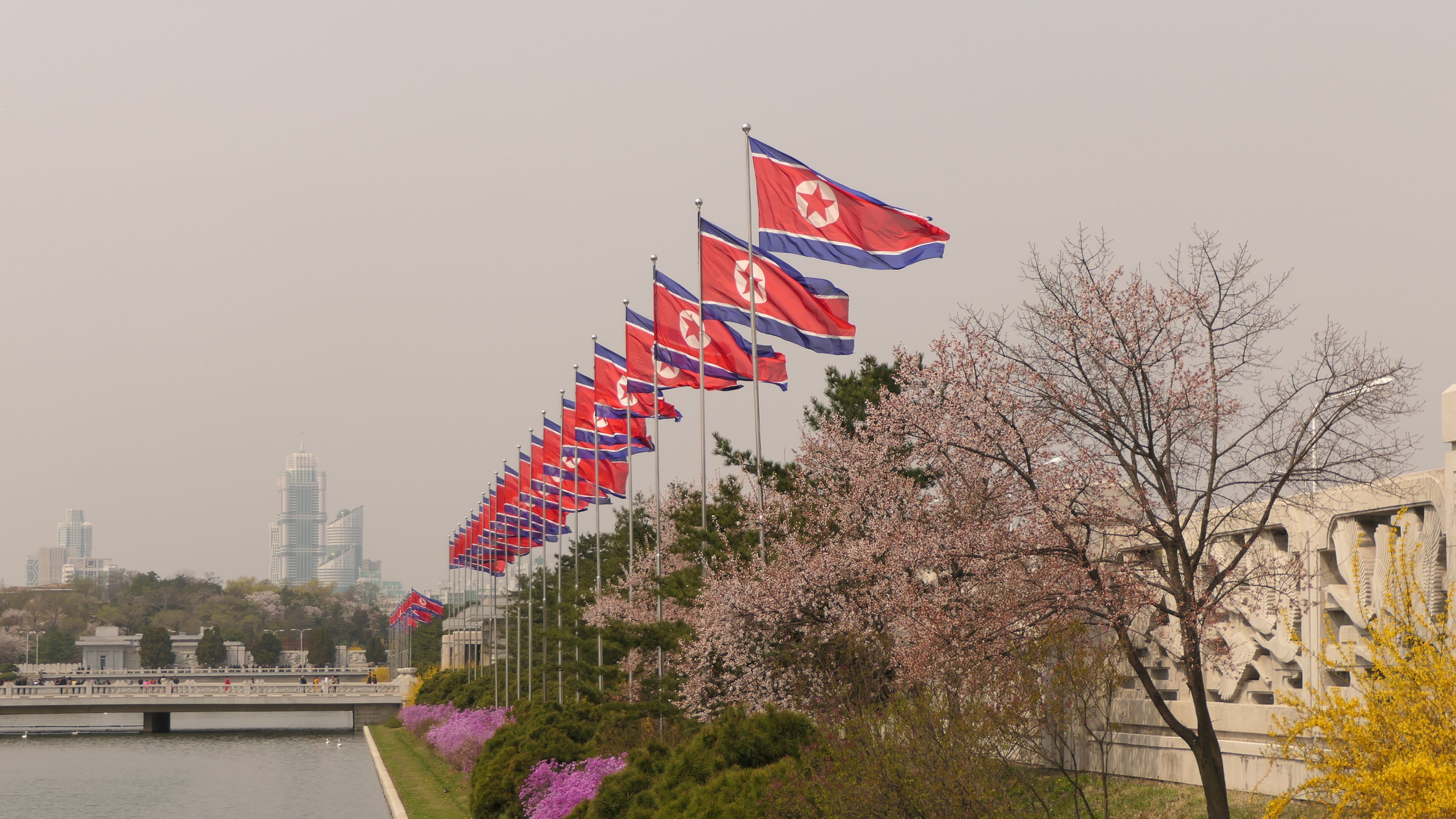 North Korean flags on flagpoles, in Pyongyang, Democratic People's Republic of Korea