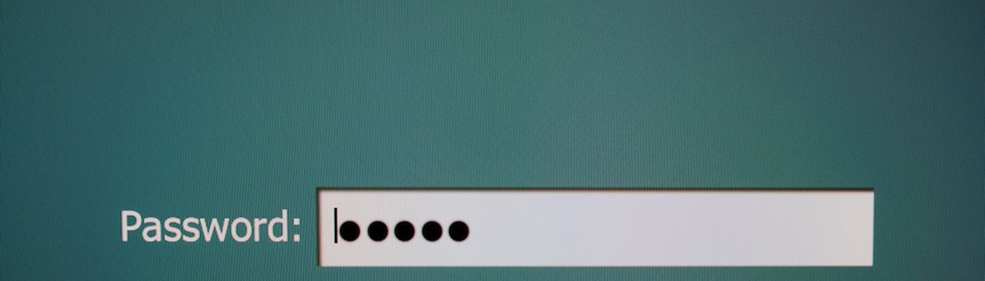 Closeup Password input box in internet browser on computer screen
