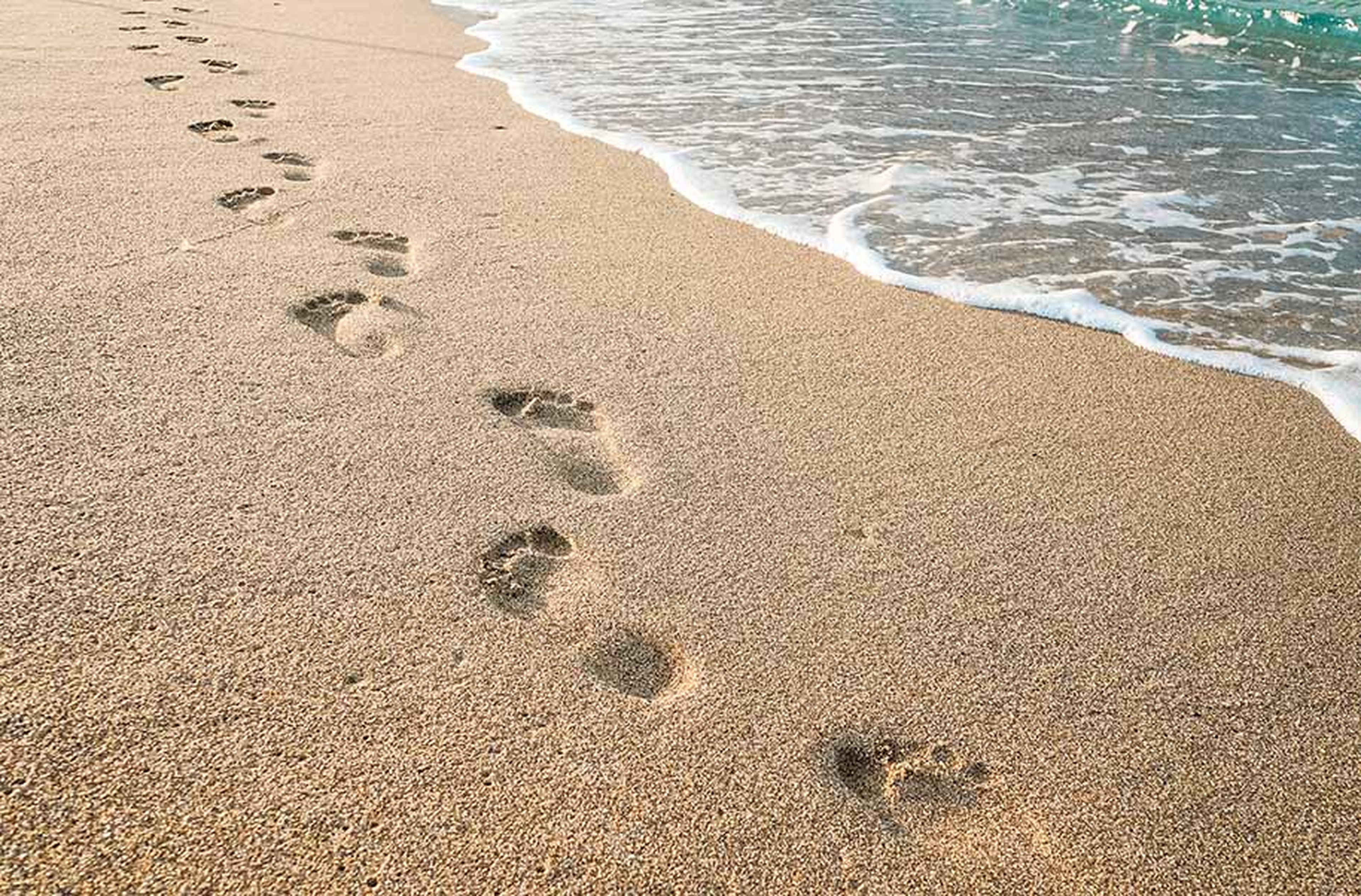 Footprints of human feet on the sand near the water on the beach