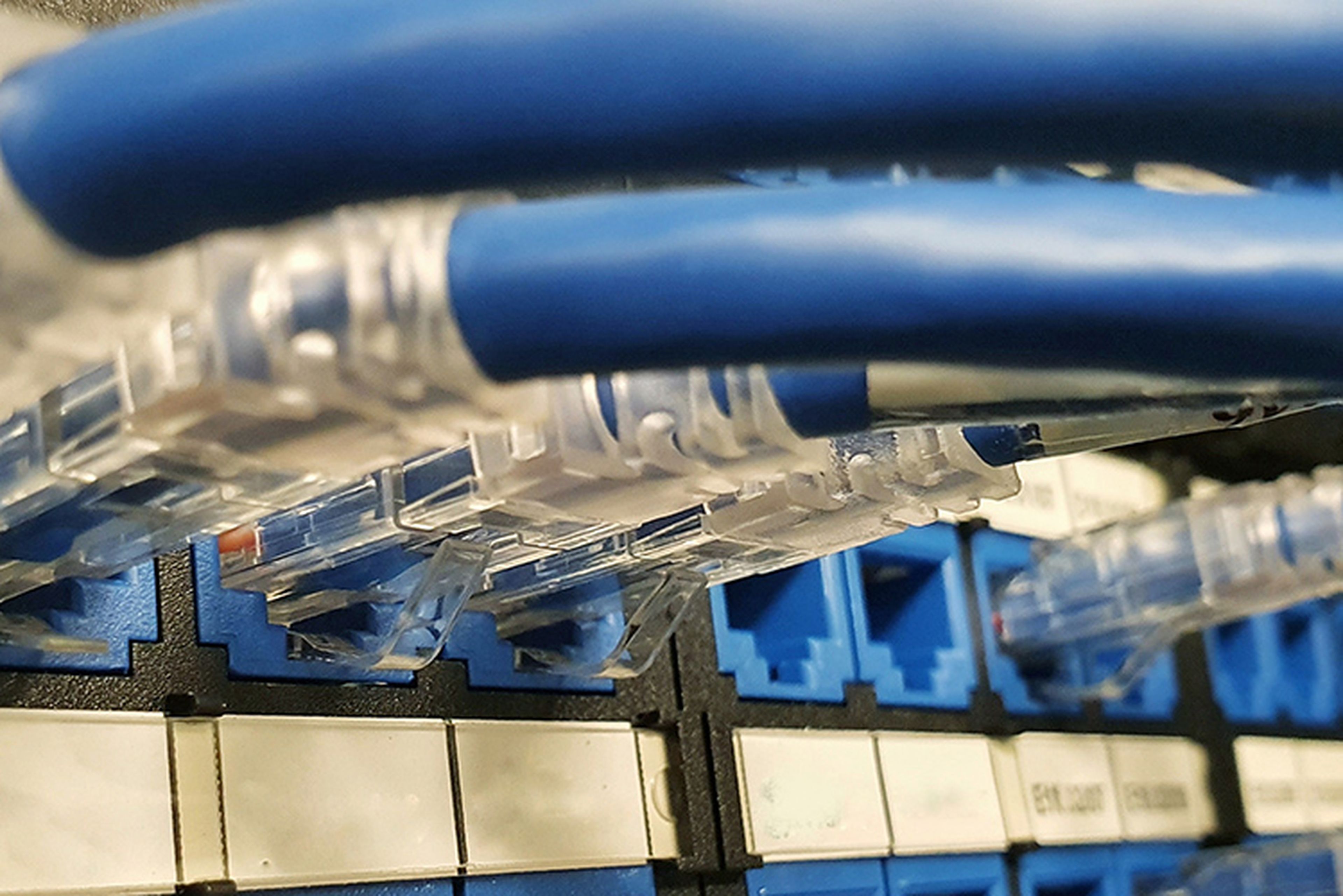 Network cables attached to network patch panel in datacenter
