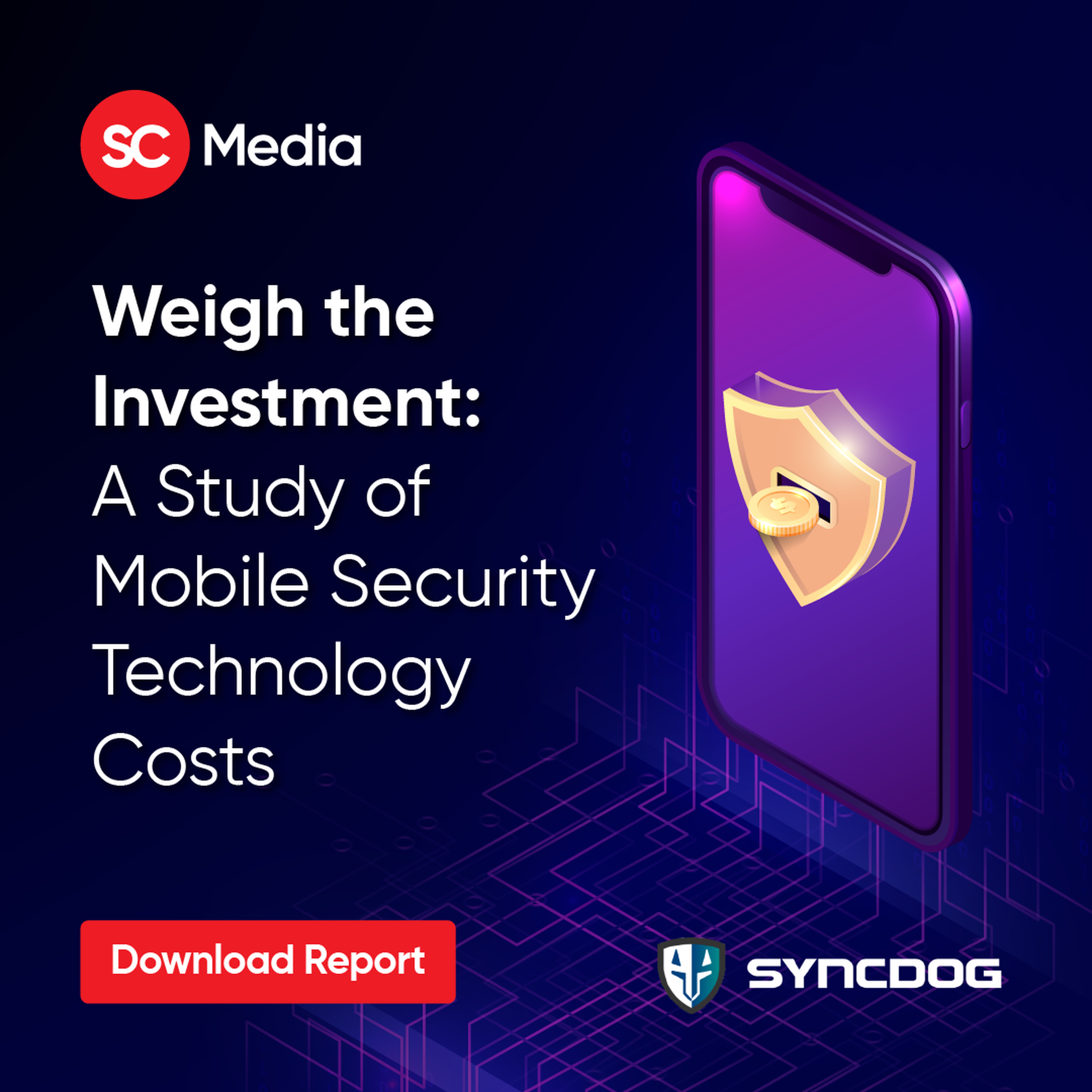 Weigh the Investment:  A Study of Mobile Security  Technology Costs