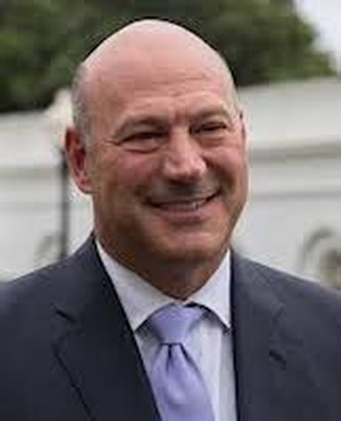 Gary Cohn, vice chairman, IBM