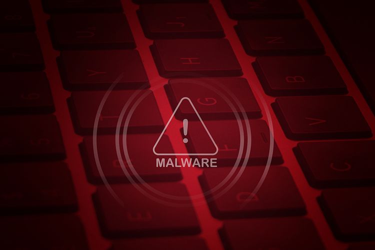 cyber threat risk management , malware and virus prevention , security awareness