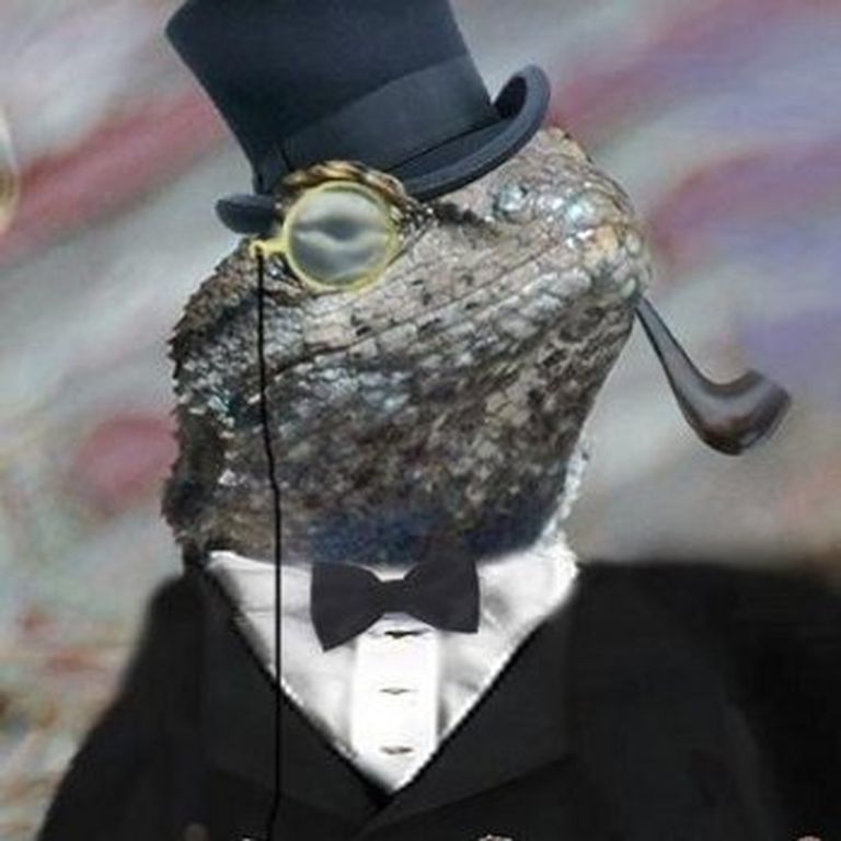 Lizard Squad downs DNS registrar, hacks Lenovo website